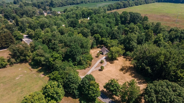 8552 Dan Smith Rd, Watervliet, MI 49098 - photo 35