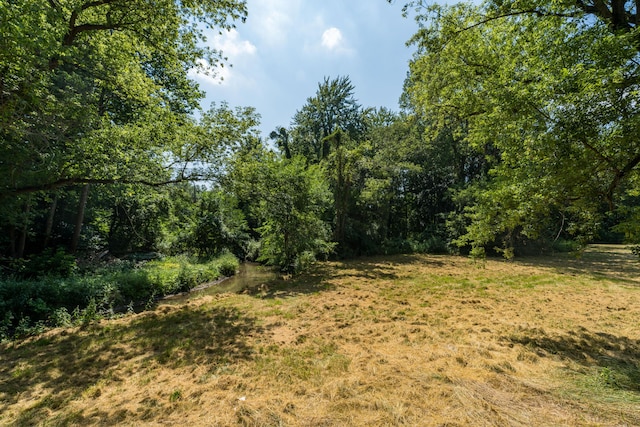 8552 Dan Smith Rd, Watervliet, MI 49098 - photo 42