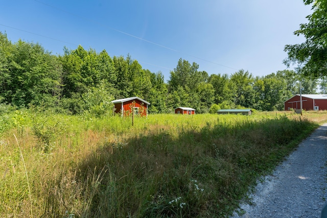8552 Dan Smith Rd, Watervliet, MI 49098 - photo 33