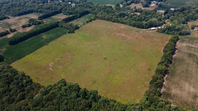 8552 Dan Smith Rd, Watervliet, MI 49098 - photo 36
