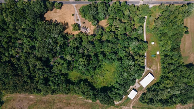 8552 Dan Smith Rd, Watervliet, MI 49098 - photo 37