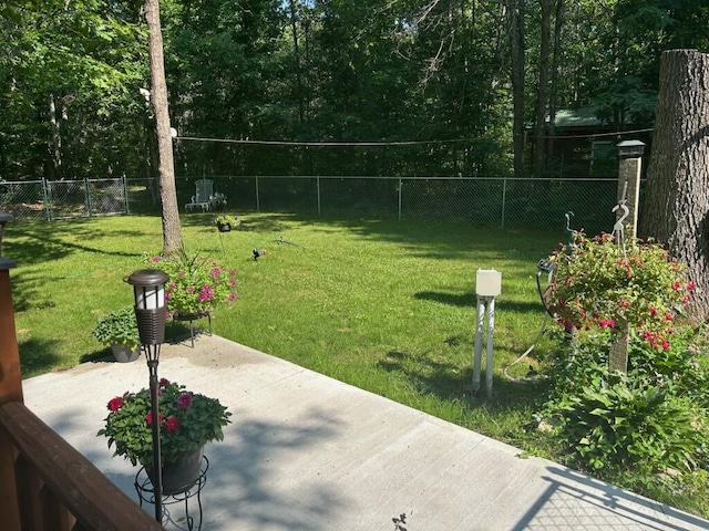 10103 N Irons Rd, Irons, MI 49644 - photo 3