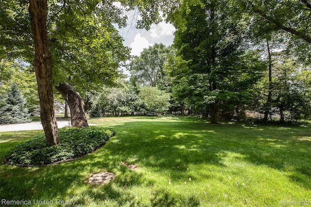 37188 Chickadee Ln, Farmington Hills, MI 48335 - photo 17
