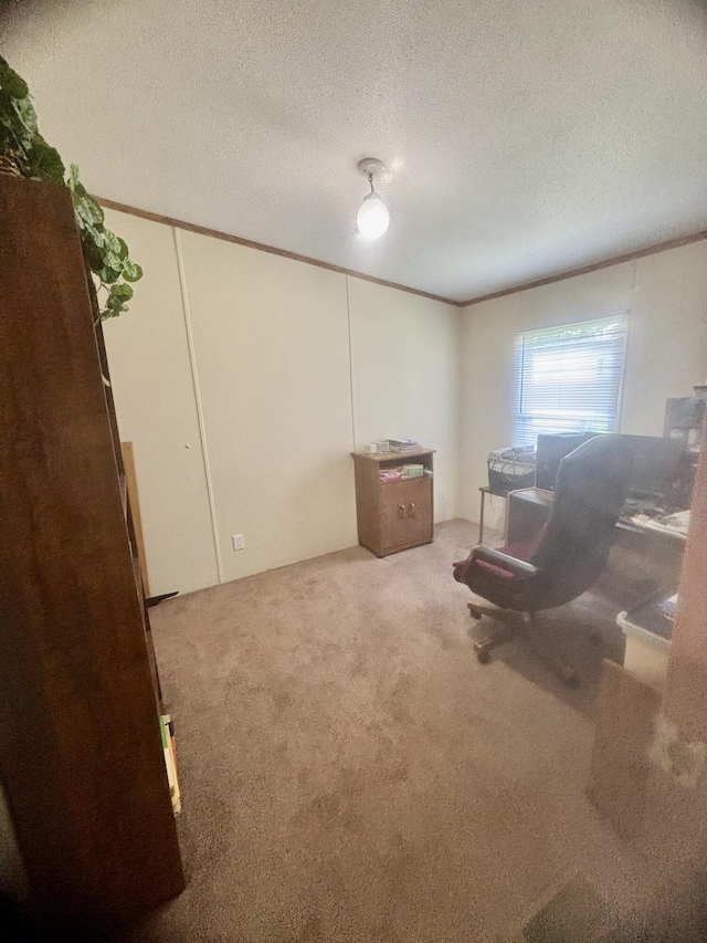 6913 Londal Cir, Lansing, MI 48911 - photo 12