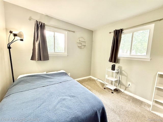 5534 Continental Rd, Grand Blanc, MI 48439 - photo 22