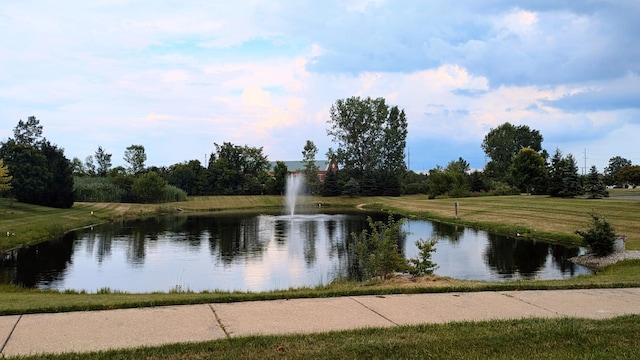 23721 W Lake Cir Unit 14, Brownstown, MI 48183 - photo 29