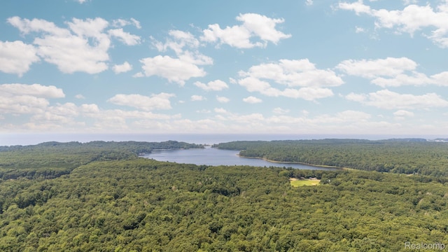 5070 Duck Lake Rd, Whitehall, MI 49461 - photo 8