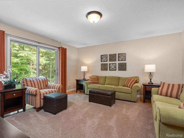 5070 Duck Lake Rd, Whitehall, MI 49461 - photo 22
