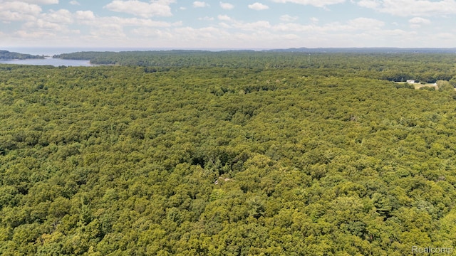 5070 Duck Lake Rd, Whitehall, MI 49461 - photo 50