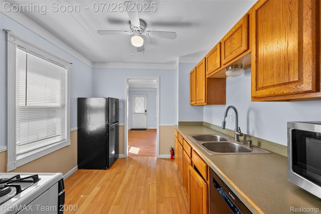 34080 Harroun St, Wayne, MI 48184 - photo 20