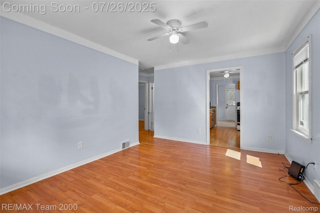 34080 Harroun St, Wayne, MI 48184 - photo 10