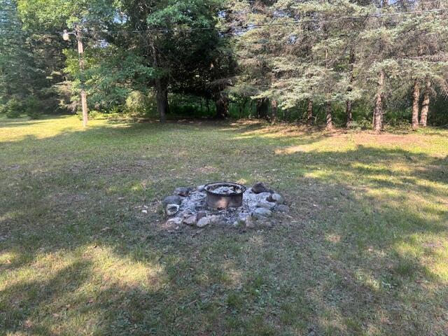 4222 N Spruce Ave, White Cloud, MI 49349 - photo 10