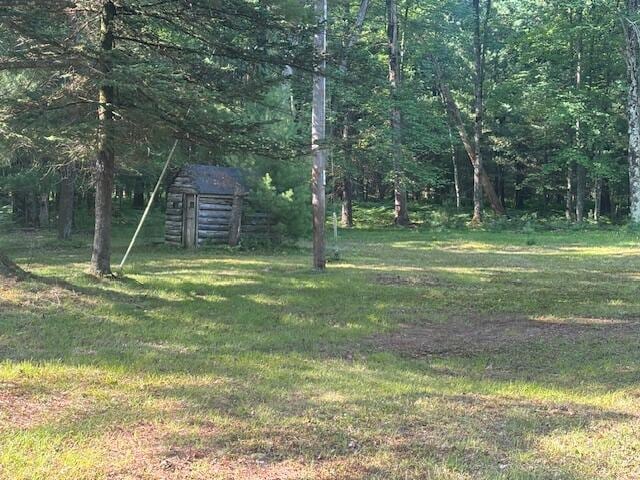 4222 N Spruce Ave, White Cloud, MI 49349 - photo 11
