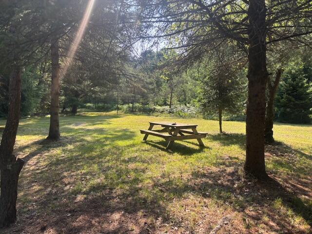 4222 N Spruce Ave, White Cloud, MI 49349 - photo 13