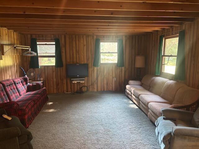 4222 N Spruce Ave, White Cloud, MI 49349 - photo 6