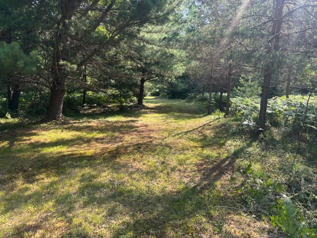 4222 N Spruce Ave, White Cloud, MI 49349 - photo 15