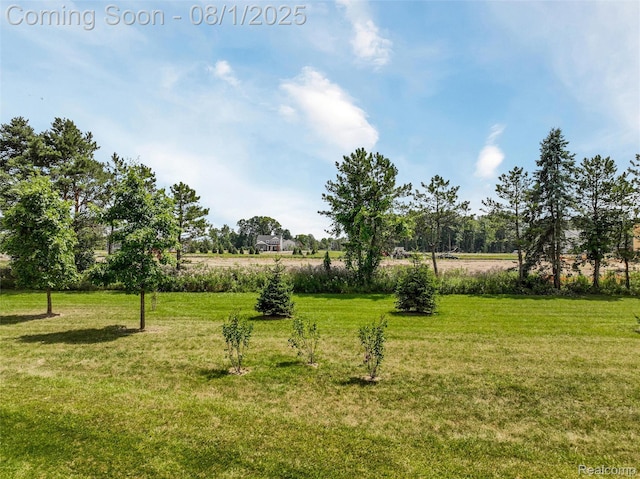 61171 Shaya Blvd, South Lyon, MI 48178 - photo 62