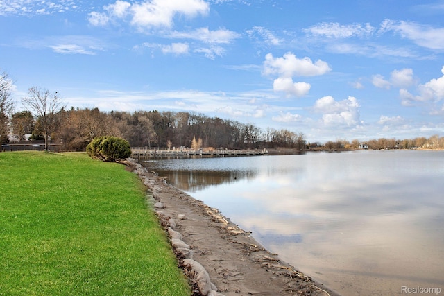1079 Forest Bay Dr, Waterford, MI 48328 - photo 53