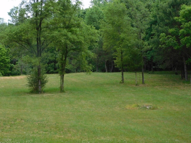 4279 Halbert Rd, Battle Creek, MI 49017 - photo 31