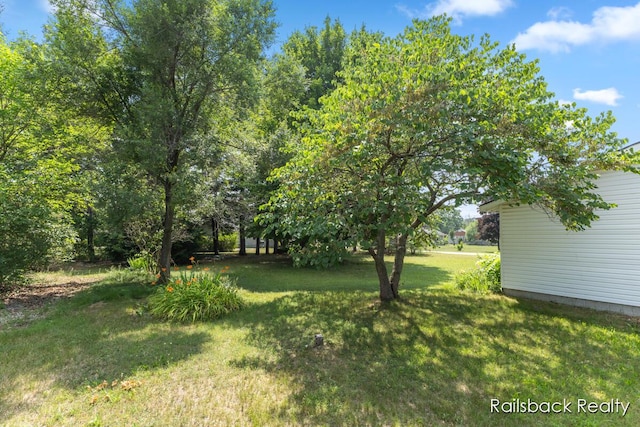 1408 E Pne Hill Ave, White Cloud, MI 49349 - photo 34