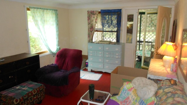 106 Ebinger Ave, Climax, MI 49034 - photo 12