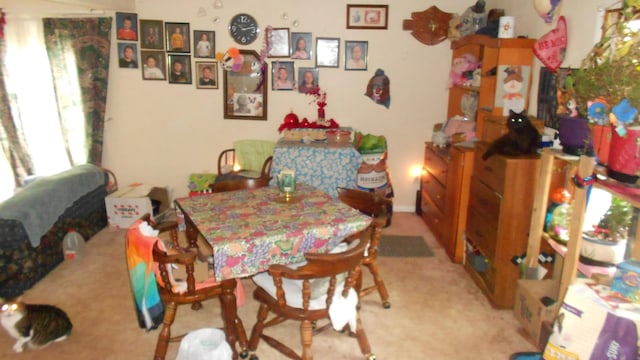 106 Ebinger Ave, Climax, MI 49034 - photo 16