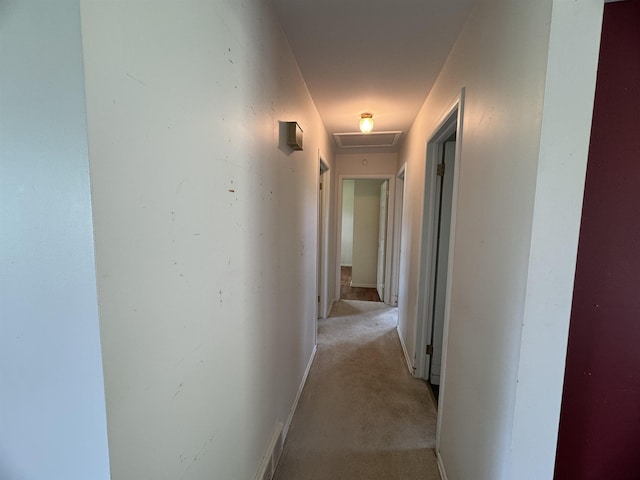 12501 Jennings Rd, Clio, MI 48420 - photo 9