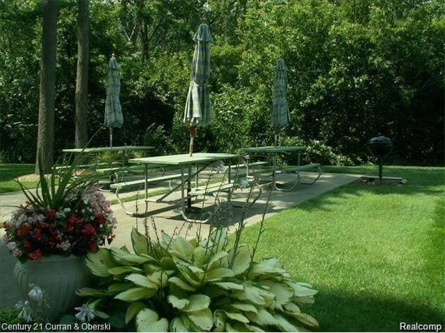 22700 Garrison St Unit 406, Dearborn, MI 48124 - photo 5