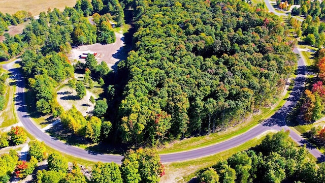 6075 Mountain Sky Rd, Kingsley, MI 49649 - photo 12