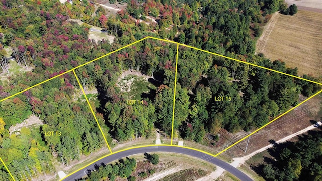 6075 Mountain Sky Rd, Kingsley, MI 49649 - photo 4