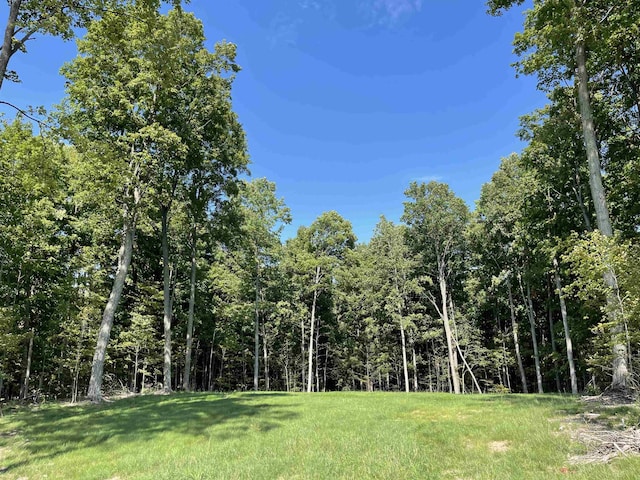 6075 Mountain Sky Rd, Kingsley, MI 49649 - photo 19