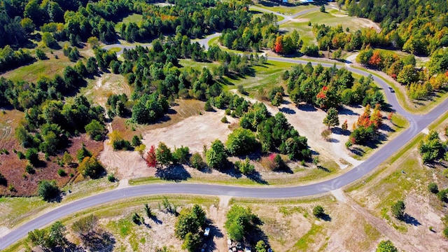 6075 Mountain Sky Rd, Kingsley, MI 49649 - photo 27