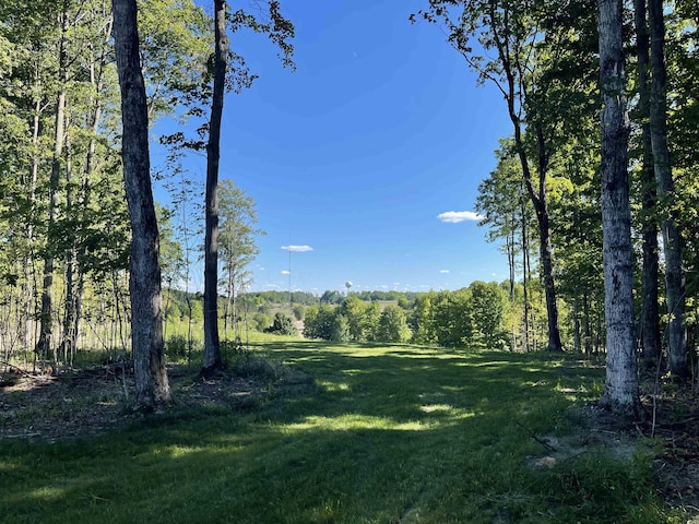 6075 Mountain Sky Rd, Kingsley, MI 49649 - photo 5