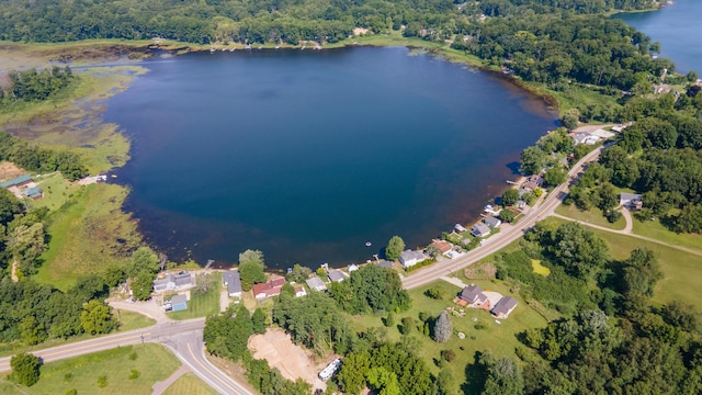 7929 S M 43 Hwy, Delton, MI 49046 - photo 36
