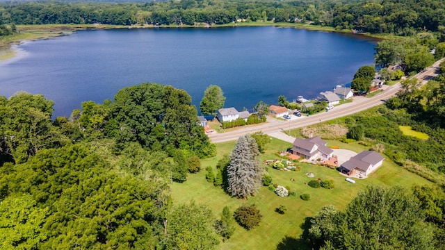 7929 S M 43 Hwy, Delton, MI 49046 - photo 31