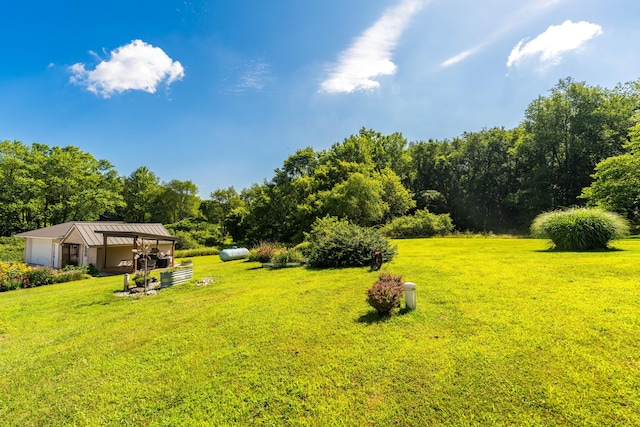 7929 S M 43 Hwy, Delton, MI 49046 - photo 29