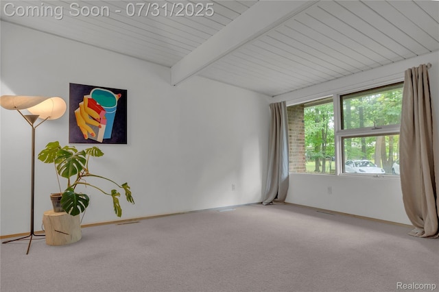 24321 Mulberry Ct, Southfield, MI 48033 - photo 37