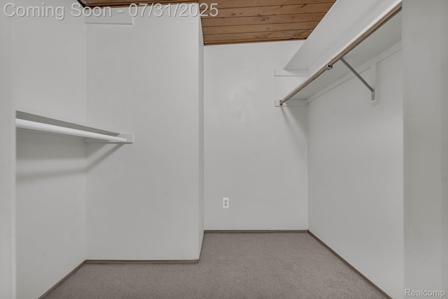 24321 Mulberry Ct, Southfield, MI 48033 - photo 39