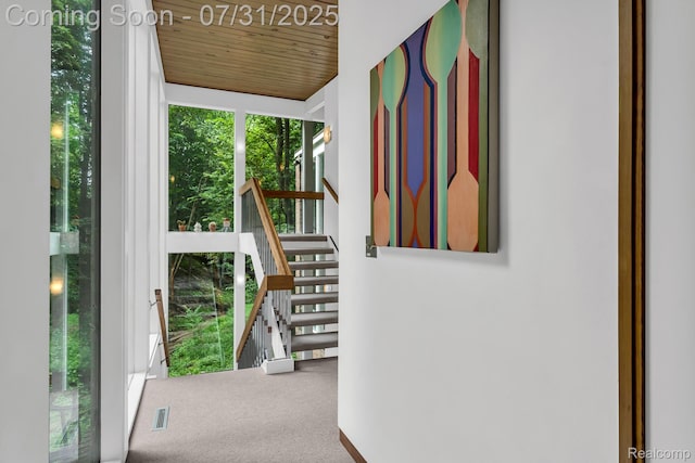 24321 Mulberry Ct, Southfield, MI 48033 - photo 31