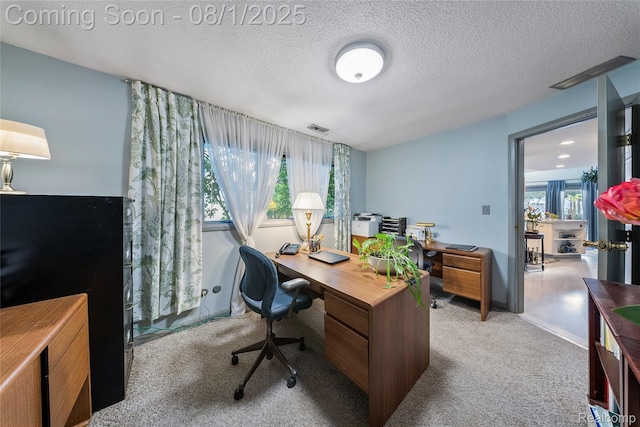 30500 Bayview Dr, Gibraltar, MI 48173 - photo 16