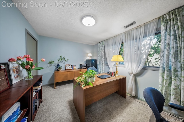 30500 Bayview Dr, Gibraltar, MI 48173 - photo 15