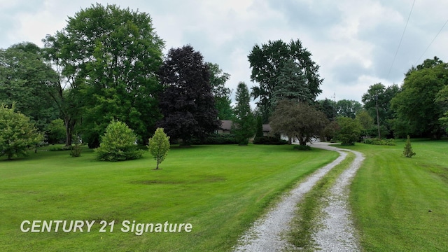 13547 Dixie Hwy, Birch Run, MI 48415 - photo 8