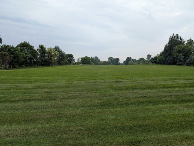 6265 Hidden Forrest Dr, Swartz Creek, MI 48473 - photo 1