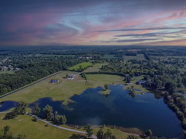 6265 Hidden Forrest Dr, Swartz Creek, MI 48473 - photo 5