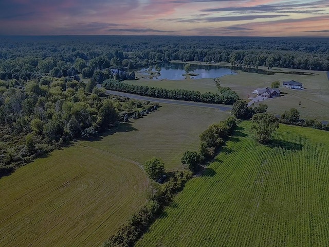 6265 Hidden Forrest Dr, Swartz Creek, MI 48473 - photo 6