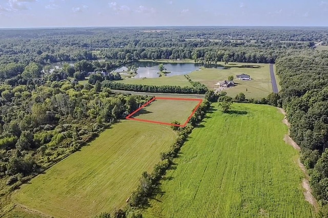 6265 Hidden Forrest Dr, Swartz Creek, MI 48473 - photo 2