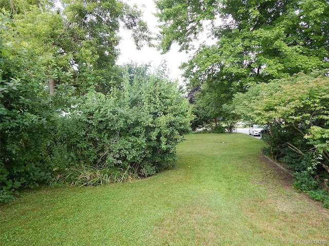 2829 Wright St, Port Huron, MI 48060 - photo 11