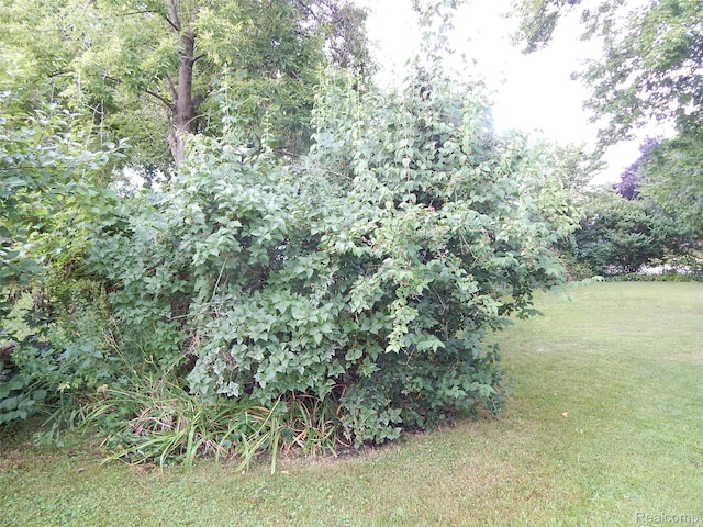 2829 Wright St, Port Huron, MI 48060 - photo 9