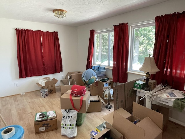 3779 W Rose City Rd, West Branch, MI 48661 - photo 17