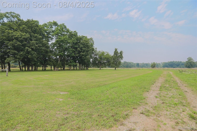7284 Beard Rd, Clyde, MI 48049 - photo 23
